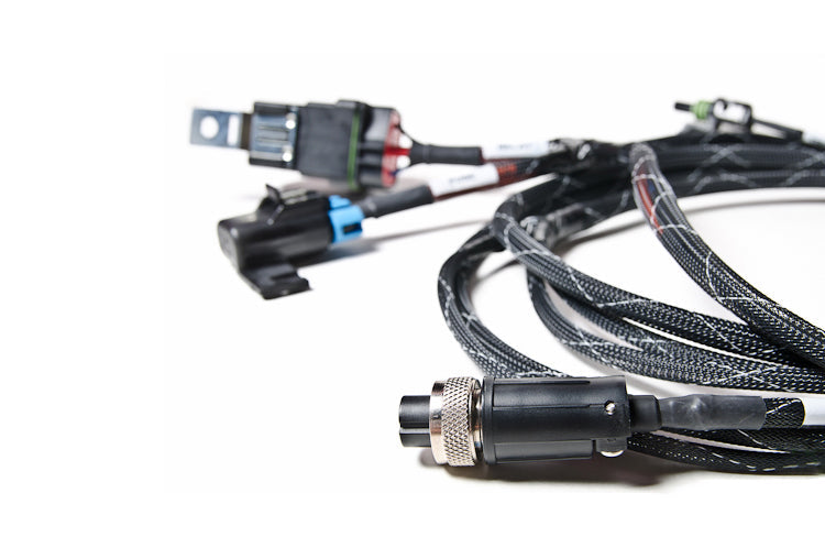 Radium FST Fully Populated Wiring Harness (17-0024-00)