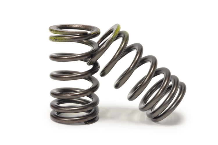 Tomei Valve Springs for R35 GTR (TA304A-NS01A)